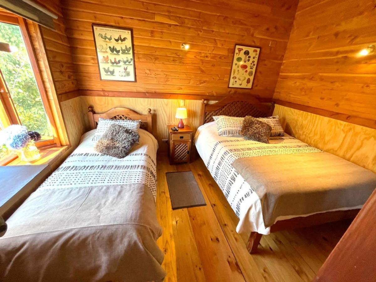 Hostal Pucon Sur Dış mekan fotoğraf